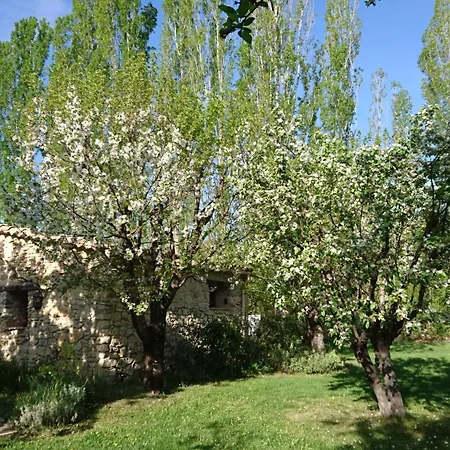 Гостевой дом Les Maisons De Chante Oiseau Sigonce