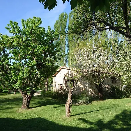 Les Maisons De Chante Oiseau Affittacamere Sigonce