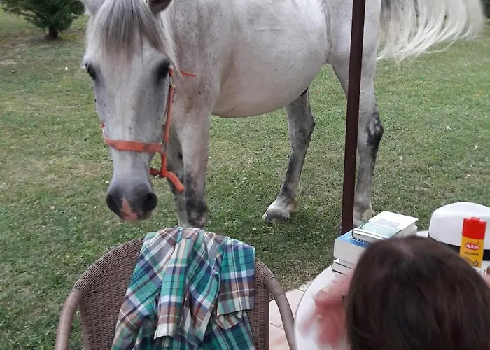 Les Maisons De Chante Oiseau Sigonce